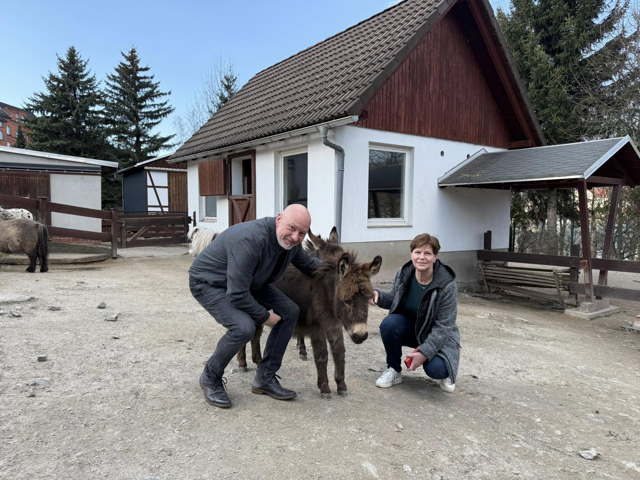Minis mal ganz groß