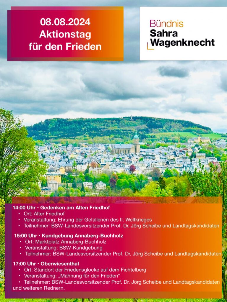 Frieden Aktionstag des BSW