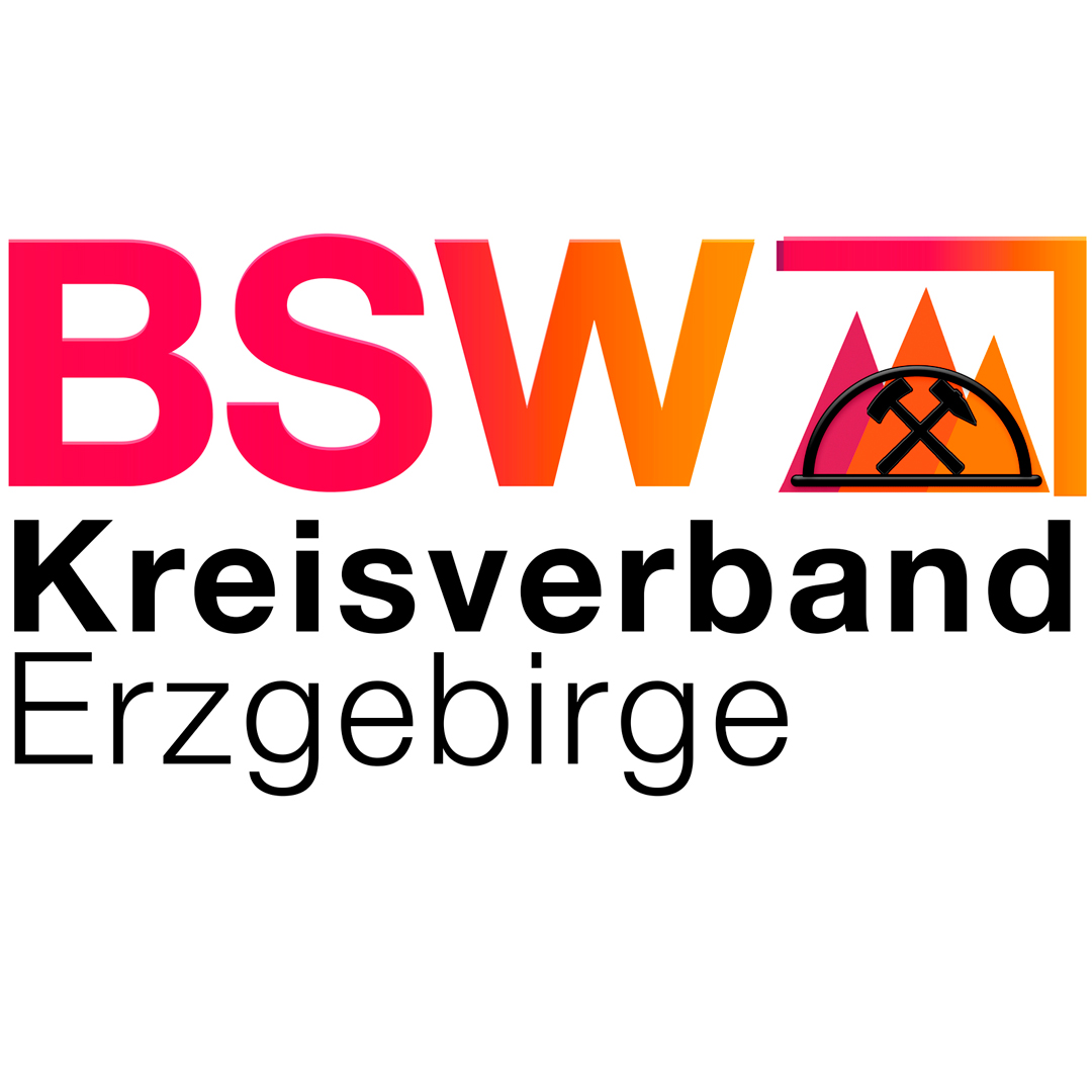 BSW-VG im Erzgebirgskreis